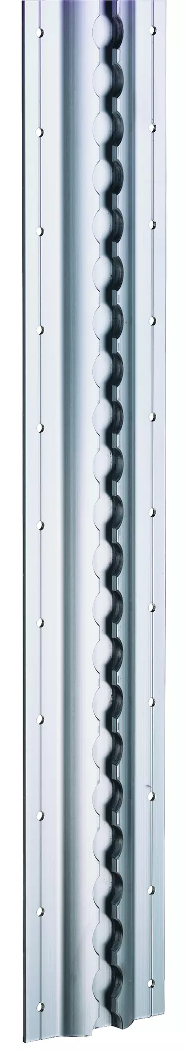 Airline-Schiene Standard mit Flansch